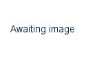 Image of business